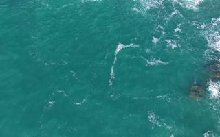 album item: DJI_20250207134520_0029_D